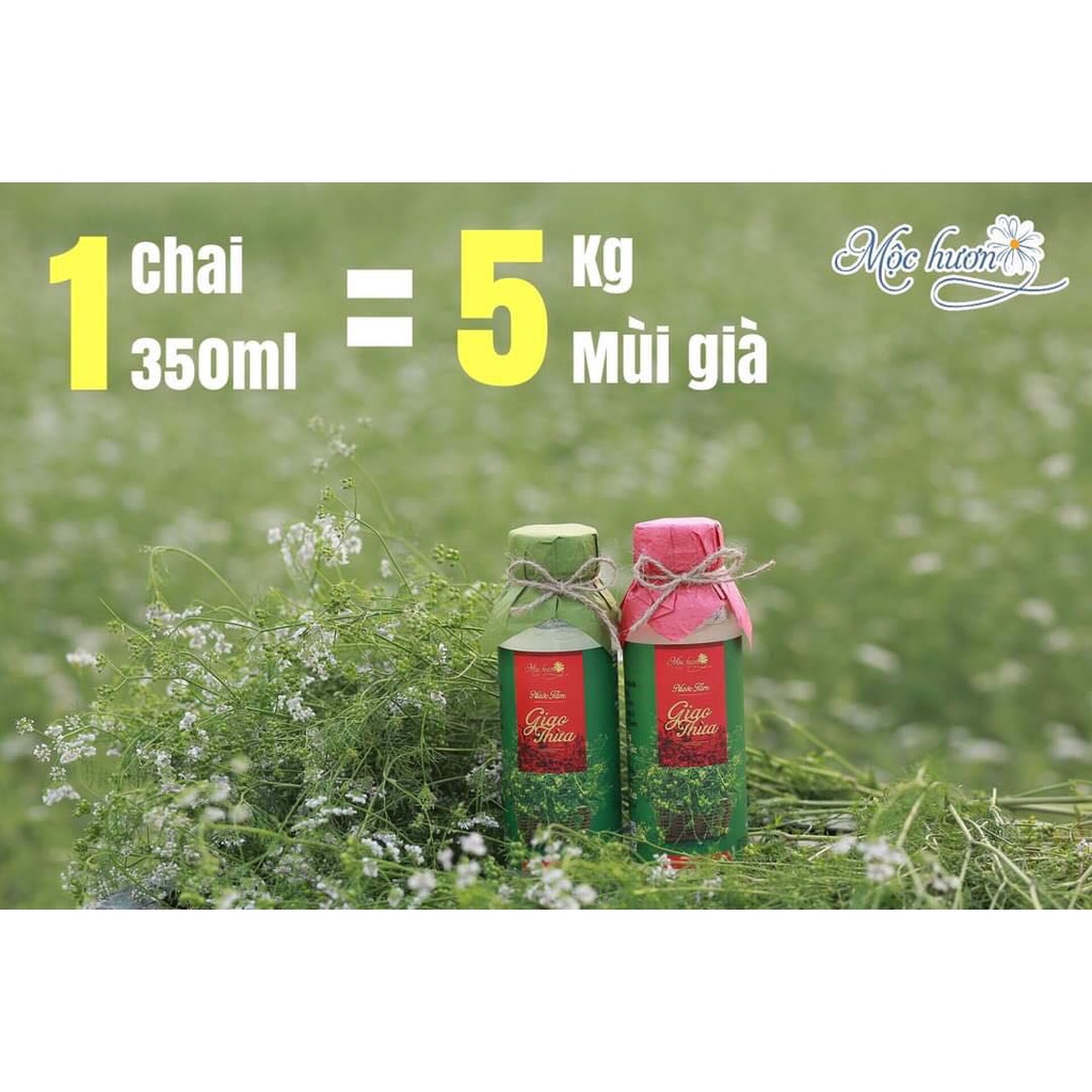 Nước Tắm Giao Thừa Mùi Già Mộc Hương 350ml - Tặng Kèm Túi Giấy May Mắn