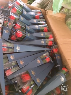 Hộp decal 1 bông sáp thơm