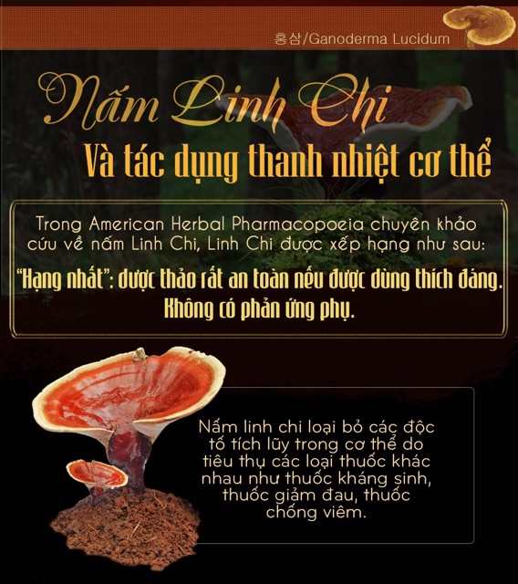 [SỈ TẬN GỐC] Nấm Linh Chi Đỏ Hàn Quốc 1kg