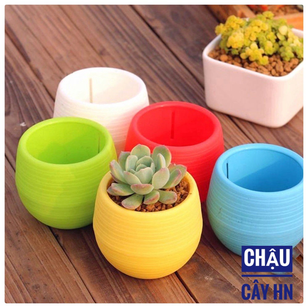 Chậu Nhựa Mini Trang Trí Văn Phòng 6 Màu
