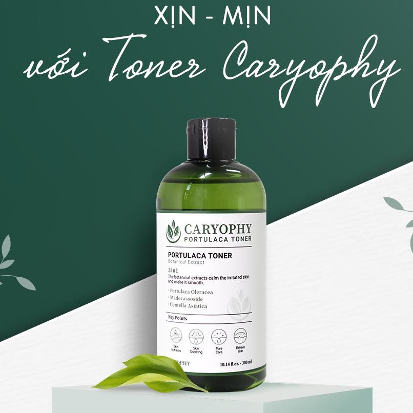 Toner cho da dầu mụn da dầu nhạy cảm ngăn ngừa mụn thâm dành cho da hỗn hợp Caryophy hàn quốc