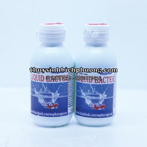 LIQUID BACTER - KHỬ ĐỘC VÀ CHỐNG SHOCK CHO CÁ