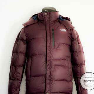 Áo phao lông vũ TNF