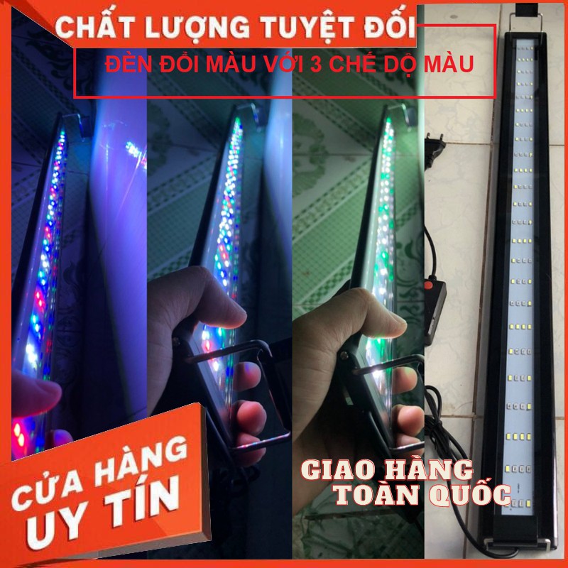 Đèn hồ cá ĐỔI MÀU 6 DÃY LED với 3 chế độ màu dành cho hồ cá cảnh