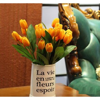Chùm hoa tulip