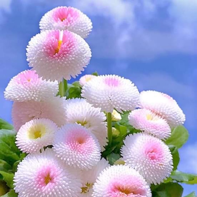 nahoang1983, Cửa hàng trực tuyến | BigBuy360 - bigbuy360.vn