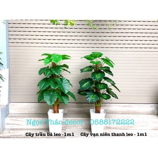 Cây trầu bà giả 1m1 , cây giả trang trí nhà cửa