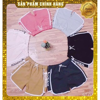 Quần short thun nữ quần lót nữ thun quần đùi thể thao đát chất cotton co dãn 4c
