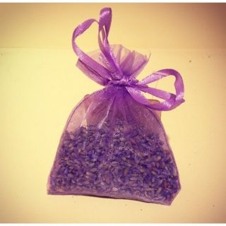 Nụ hoa lavender true France - lavender