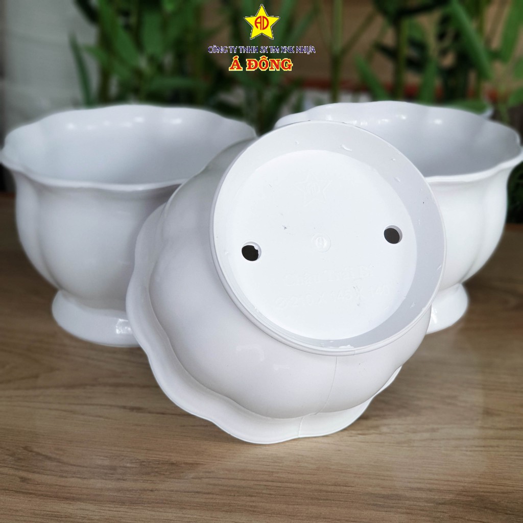 Chậu Trái Bí 21cm- Chậu Nhựa Á Đông - Chậu nhựa trồng hoa tphcm giá khuyến mãi