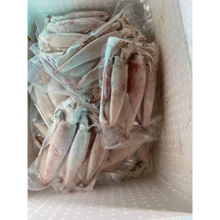 MỰC ỐNG SIZE TO 2-3 CON 1 KG