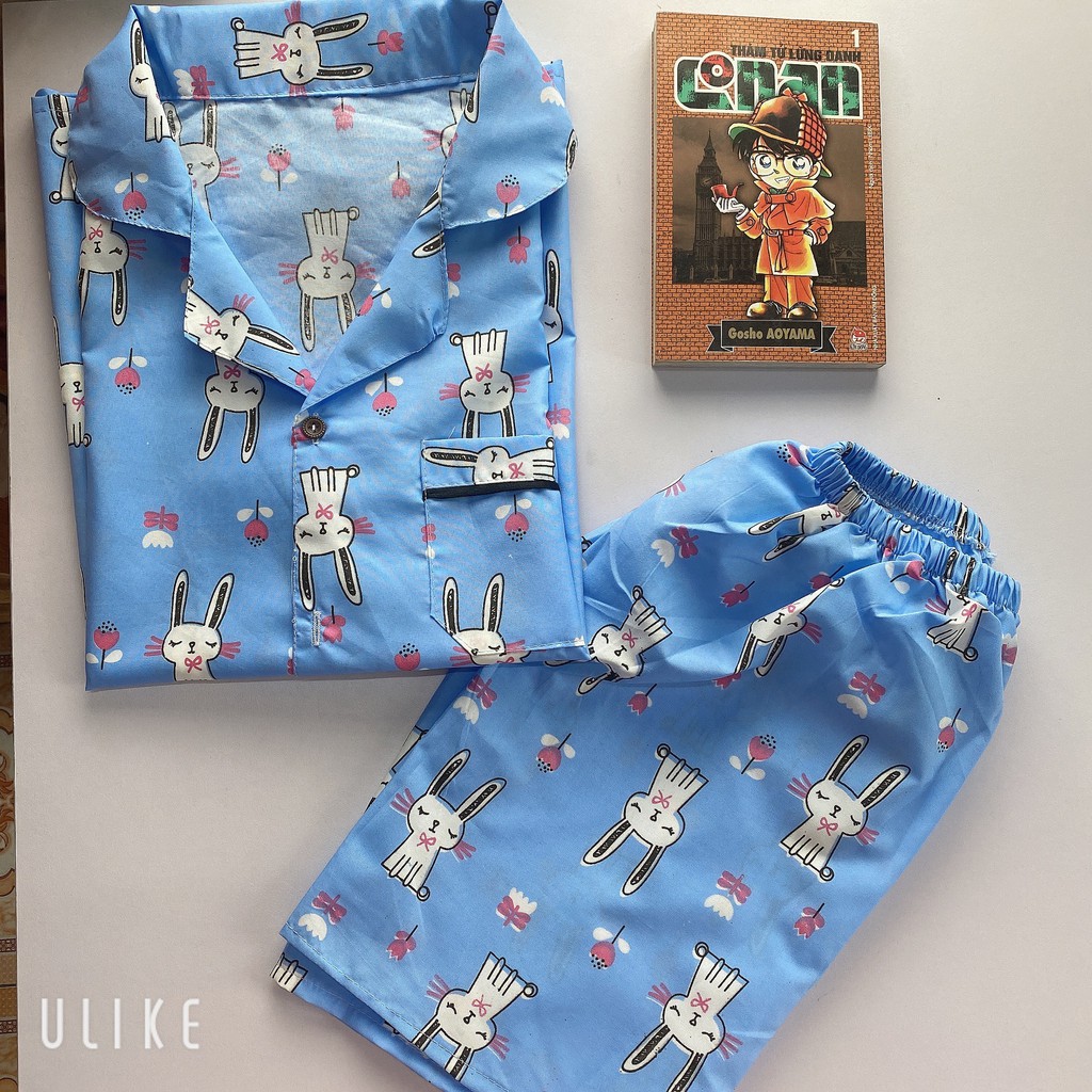 Đồ bộ ngủ đồ bộ mặc nhà quần cộc áo cộc đồ bộ pajama kate thái cực hot size 40-62kg + ảnh thật | BigBuy360 - bigbuy360.vn