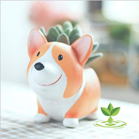 Chậu Corgi Vui Vẻ - Chậu trồng cây