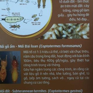 Thuốc phòng trừ Mối Termize chai 500ml