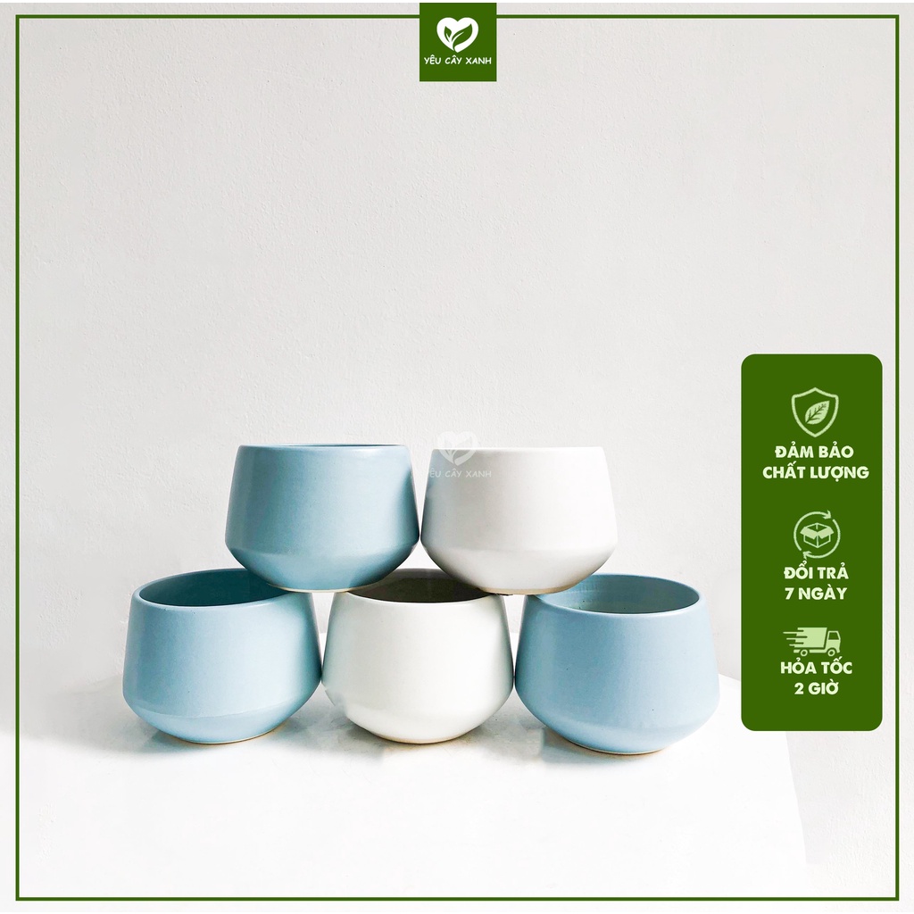 Chậu Kim Cương 10x12cm Trồng Cây Để Bàn, Cây Phong Thủy