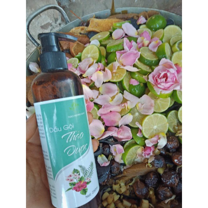 Dầu gội bồ kết thảo dược cô đặc xua tan rụng tóc,kích mọc dày tóc | BigBuy360 - bigbuy360.vn