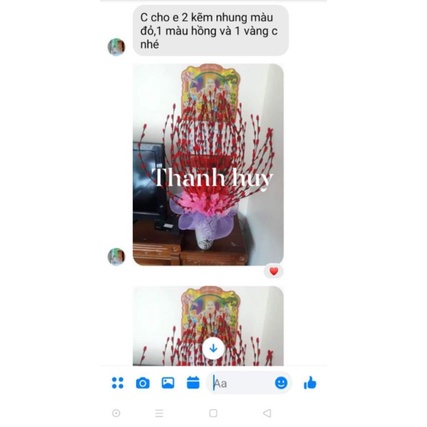Combo nguyên liệu 50 cành tầm xuân