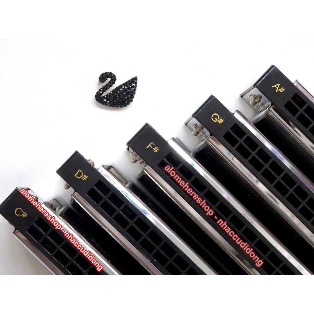 Kèn harmonica tremolo Swan Inconceivable SW24 Key C#