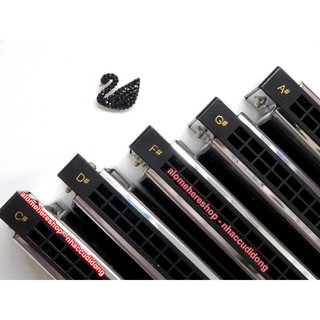 Kèn Harmonica Tremolo Swan Inconceivable SW24 12 Key C/C#/D/D#/E/F/F#/G/G#/A/A#/B (Đen)