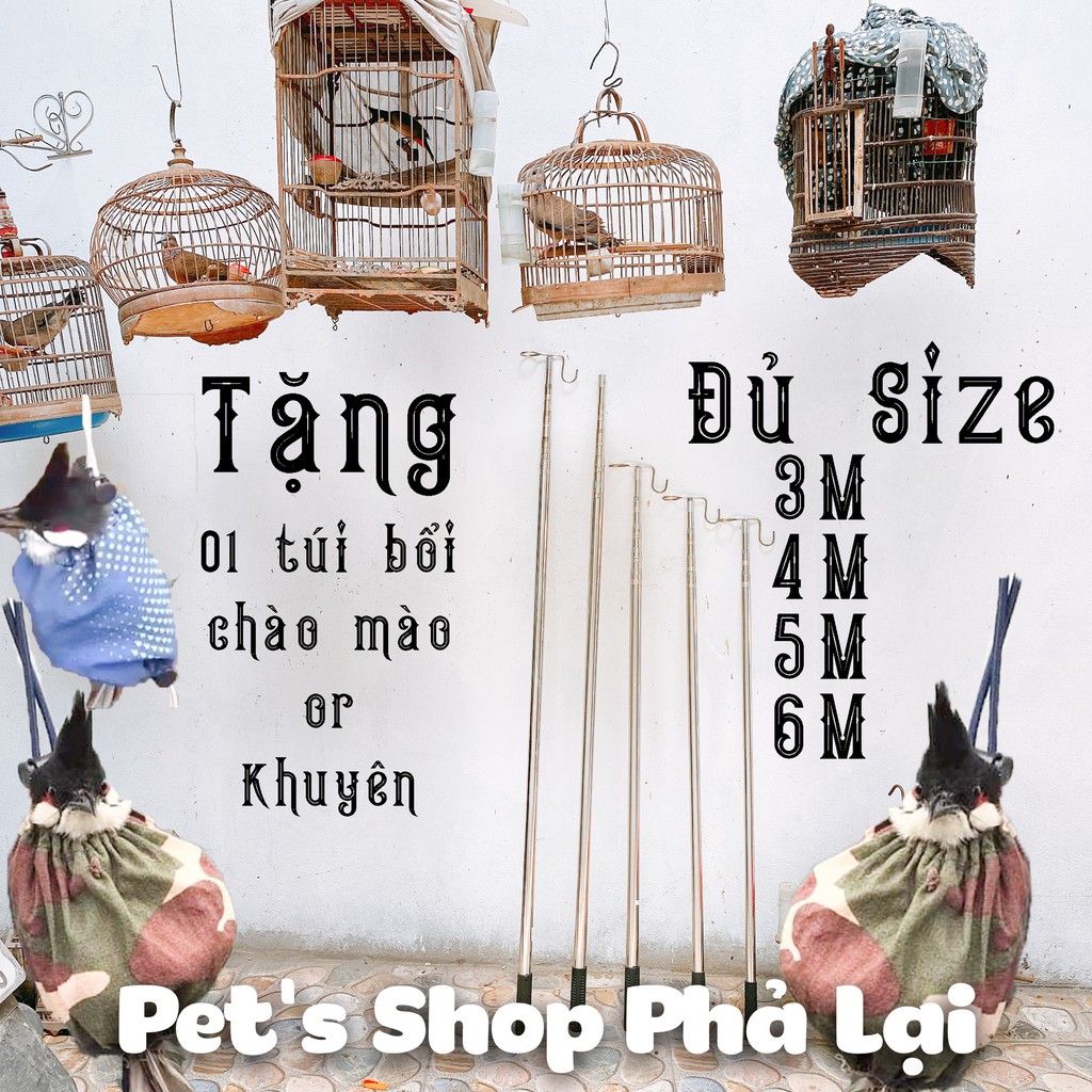 Sào Treo Chim, Sào bẫy Chim