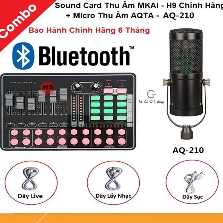 Micro thu âm cao cấp chính hãng AQTA model AQ210