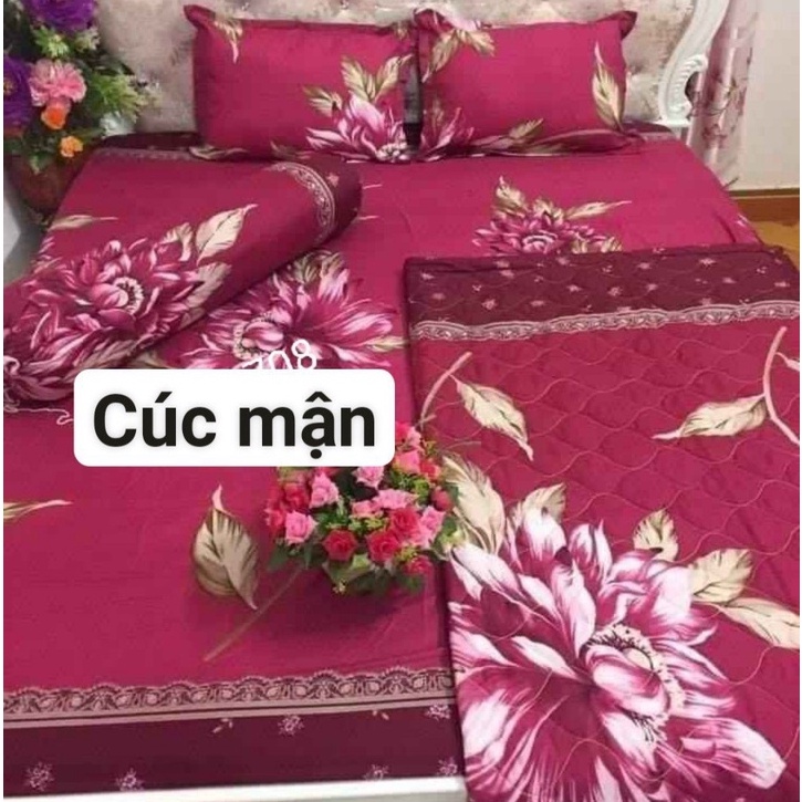 Ga chun bọc đệm poly cotton m6 hoặc m8 2m kèm 2 vỏ gối đa dạng mẫu mã (không gồm chăn)