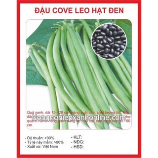 Hạt giống đậu cove leo hạt đen 50gr