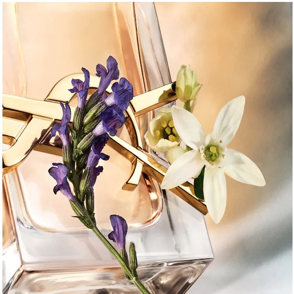 [HOT] Set Son và Nước Hoa YSL (Nước hoa: 7.5ml, Son: 1.7g) | BigBuy360 - bigbuy360.vn