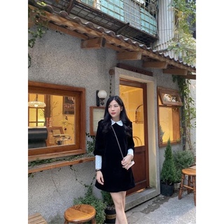 Váy nhung đen cổ bèo