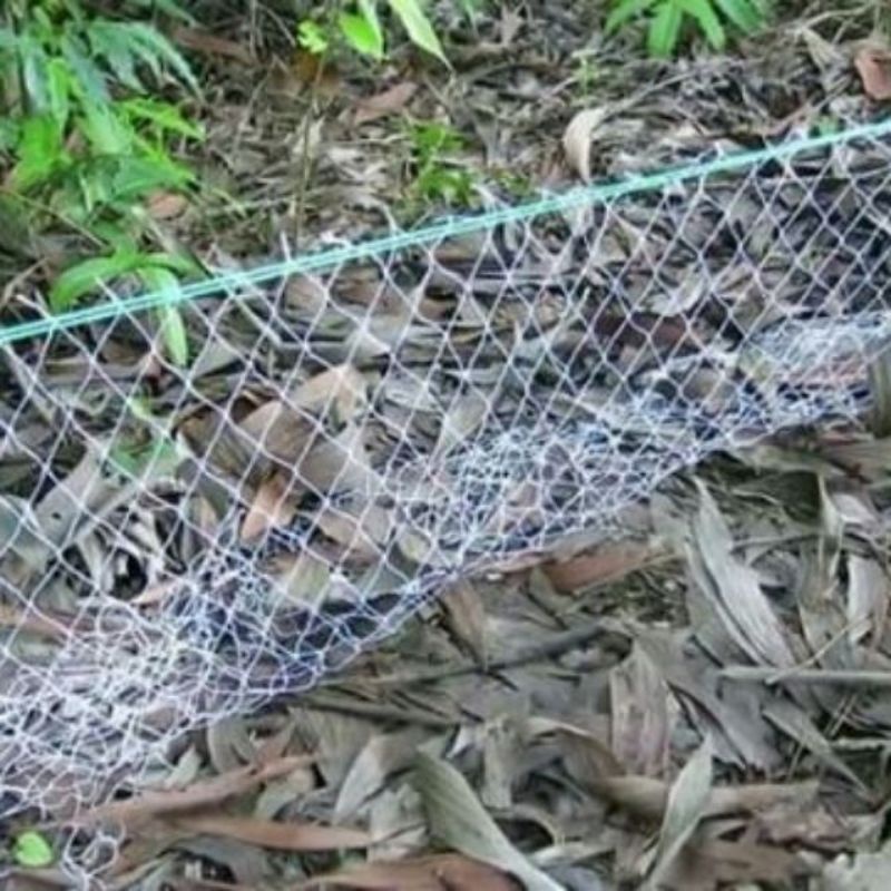 Lưới giăng bắt rắn sợi dù thái lan