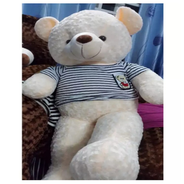 thú bông teddy kích thước 80cm