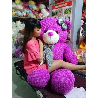 2019 gấu bông teddy cao cấp 1 m 5