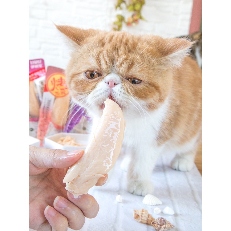 Ức Gà Ăn Liền Inaba Ciao Tẩm Ướp 5 vị Sò,Cua,Cá,Hải Sản,Gà Hầm