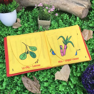 Đồ Ăn Của Ai Đây Nhỉ?