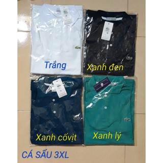 ÁO THUN NAM (SIZE 3XL)