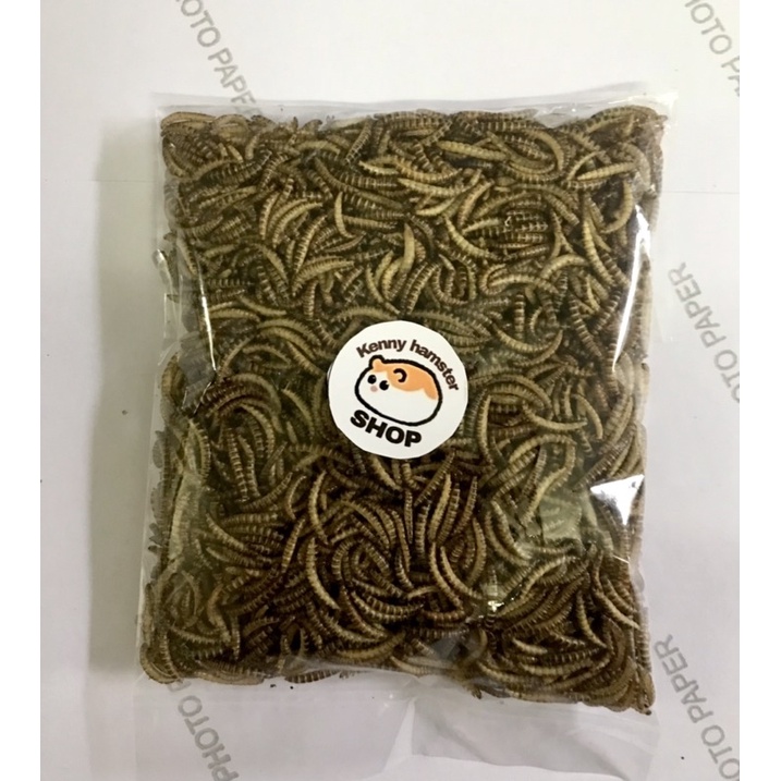 Sâu Gạo Sấy Khô Cho Hamster