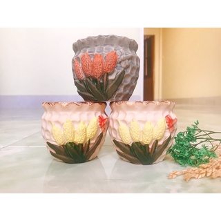 Chậu sứ hình trồng sen đá