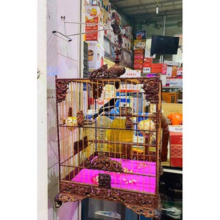 Móc treo lồng chim inox
