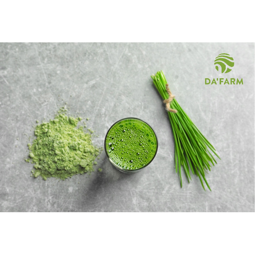 BỘT NƯỚC ÉP CỎ LÚA MÌ HỮU CƠ DA'FARM