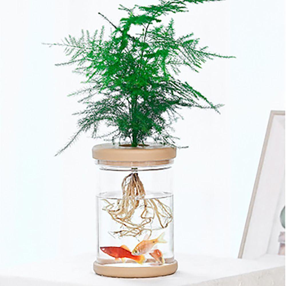 Cây Thủy Tinh Trong Suốt Nhỏ Xinh Tươi Tắn Trang Trí Trong Nhà / Ngoài Trời