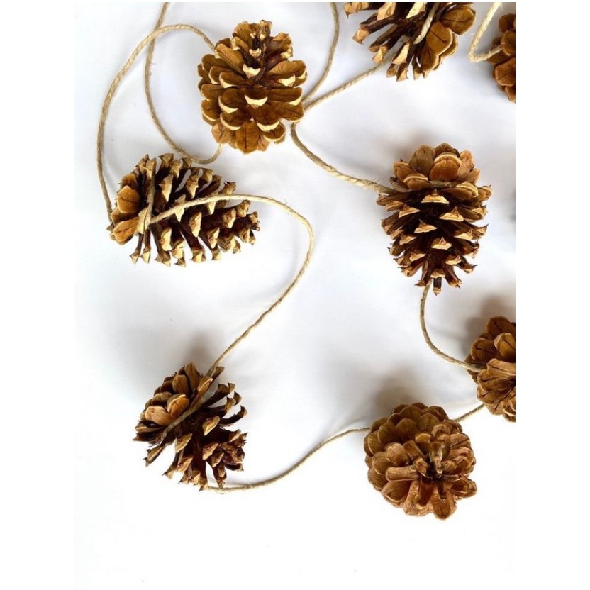 Quả thông làm tranh - decor - trang trí