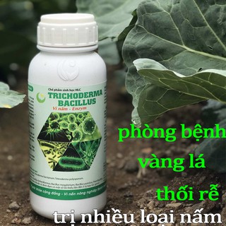 Chế phẩm sinh học TRICHODERMA BACILLUS tiêu diệt các loại nấm hại 500ml-76112