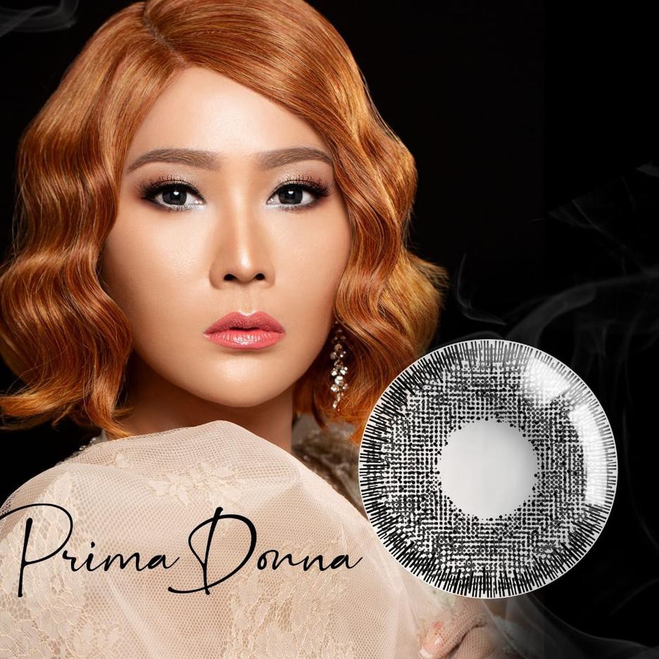 Mềm Lens X2 Fame Inul Daratista 14.50mm Normal And Minus (- 0.50 - D - 3.00) / Bb