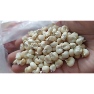 Ngô nếp khô chưa bung