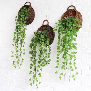 Lá Giả - Chùm lá trầu bà giả treo tường trang trí nhà cửa xanh mát