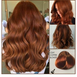 Thuốc Nhuộm Tóc Màu Nâu Cam Đất Dark Golden Copper