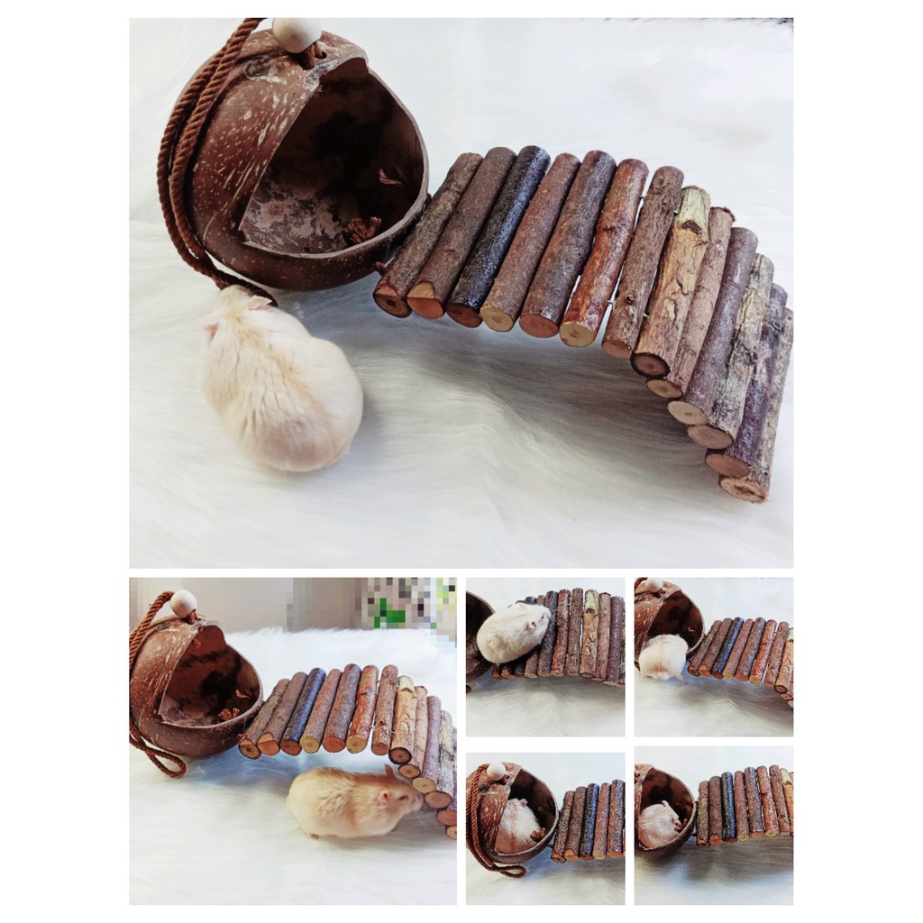 Nhà ngủ gáo dừa 3in1