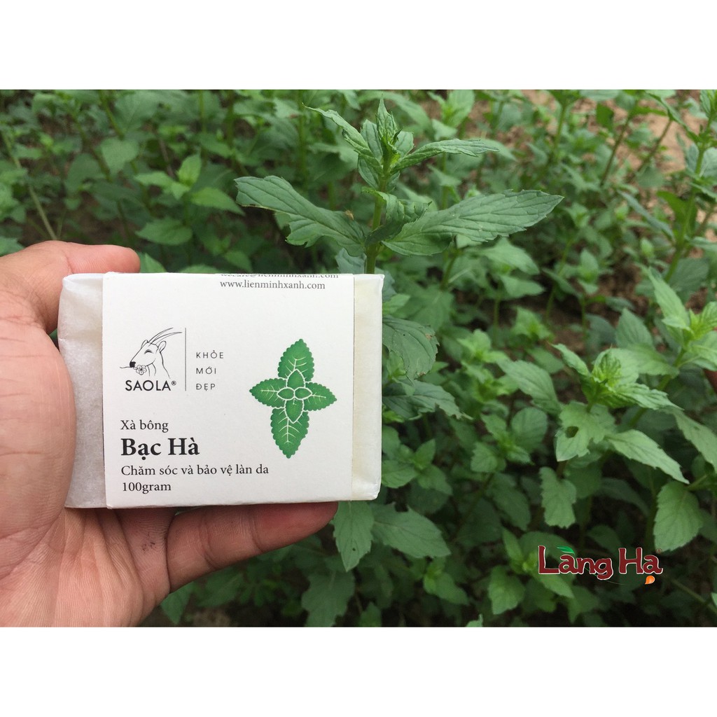 [ORGANIC] XÀ BÔNG BẠC HÀ SAO LA HUẾ - LIÊN MINH XANH