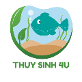 Thuỷ Sinh 4U