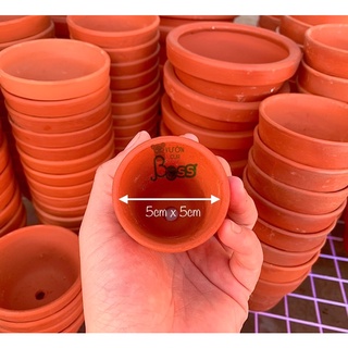 Chậu đất nung mini 5x5cm